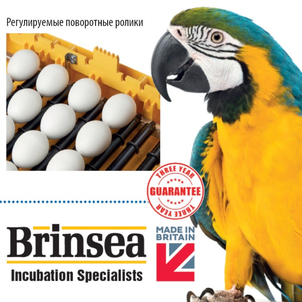 Инкубатор Brinsea Ovation 56 Zoologica