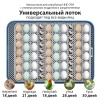 Инкубатор HHD 70H автоматический на 70 яиц, с контролем влажности и овоскопом на 220В/12В от сети и аккумулятора​