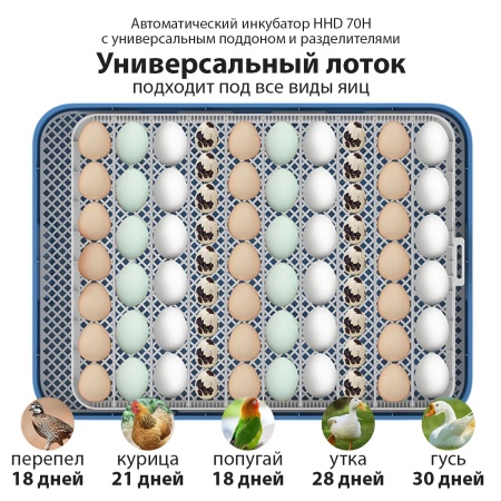 Инкубатор HHD 70H автоматический на 70 яиц, с контролем влажности и овоскопом на 220В/12В от сети и аккумулятора​