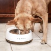 Миска-весы Petkit FRESH Metal 1700 мл для собак, оранжевая