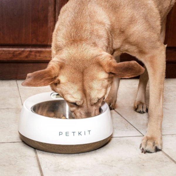 Миска-весы Petkit FRESH Metal 1700 мл для собак, голубая