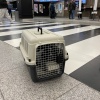 Переноска Departures Range 60х40х40 см, авиапереноска Pet Choice авиа стандарт для животных до 10 кг в самолет или в машину​