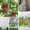 Гидропонная установка HobbyFarm DQ61005, домашний умный смарт сад, 5 ячеек