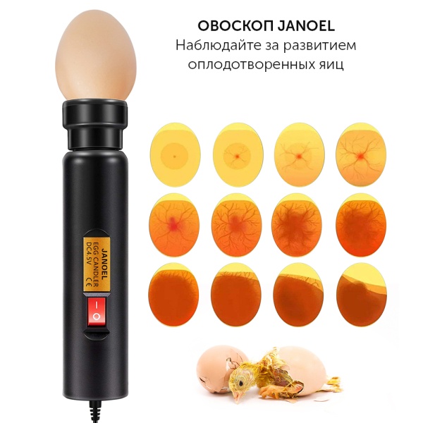 Овоскоп Janoel для яиц от сети 220В и от батареек