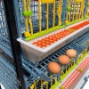 Клетка Comfortplast для кур-несушек 3 секции, 3 яруса высотой по 40 см, пластиковая