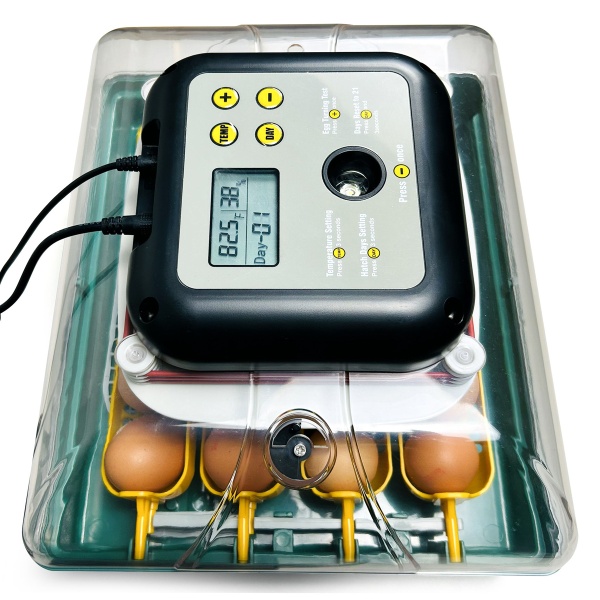 Инкубатор для яиц автоматический Des Champs EU PROFI C-24 с овоскопом на 24 куриных яйца
