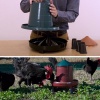 Кормушка бункерная ECO Recycled 8 кг с решеткой с круглыми отверстиями на ножках