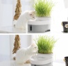 Автопоилка фонтан для кошек и собак Petwant PW-101 3 л с отделением для корма или травы