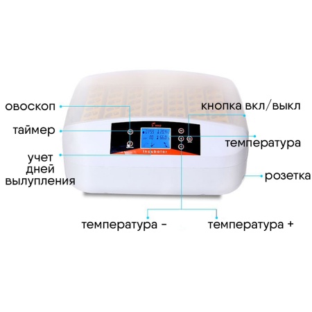 Инкубатор HHD 56 автоматический с овоскопом на 56 яиц​