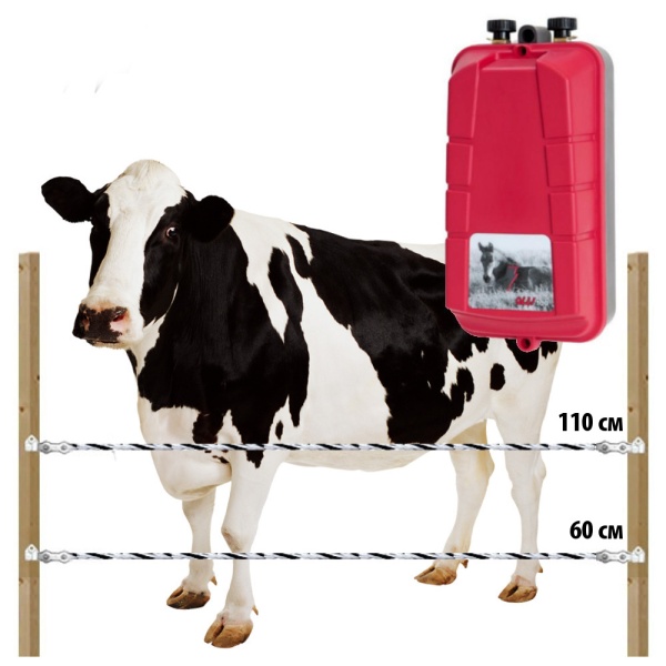 Комплект электропастуха Olli для КРС 220В на 500 м