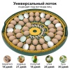 Инкубатор HHD 52H WONEGG автоматический 220В/12В от сети и аккумулятора, с овоскопом на 52 яйца​