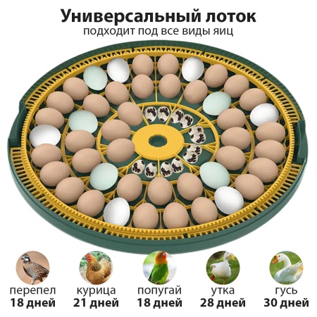 Инкубатор HHD 52H WONEGG автоматический 220В/12В от сети и аккумулятора, с овоскопом на 52 яйца​