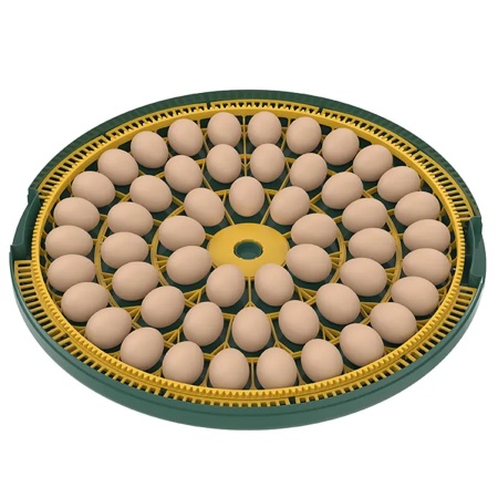 Инкубатор HHD 52H WONEGG автоматический 220В/12В от сети и аккумулятора, с овоскопом на 52 яйца​