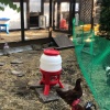 Кормушка бункерная 21 кг пластик с разделительной решеткой на ножках