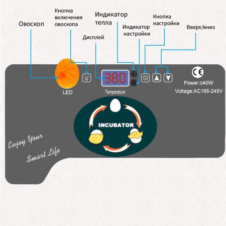 Инкубатор HHD 12 мини автоматический с овоскопом на 12 яиц