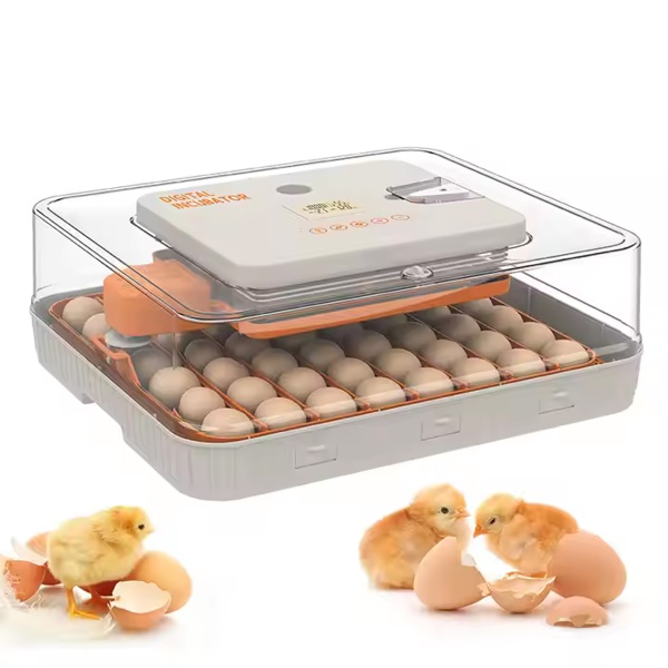 Инкубатор HHD 56H автоматический с контролем влажности и овоскопом на 220В/12В от сети и аккумулятора на 56 яиц