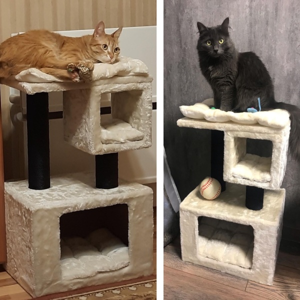 Когтеточка-комплекс 40х30х67 см, с подушками, кремовый