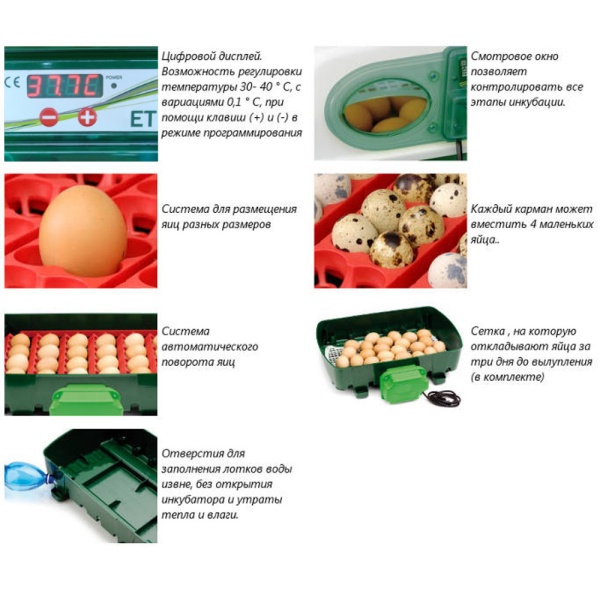 Инкубатор River ET 24 автоматический для яиц