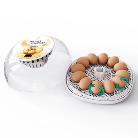 Инкубатор HHD 12 Wonegg мини автоматический на 12 яиц
