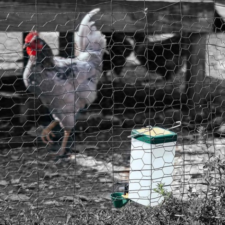 Поилка чашечная с бачком HobbyFarm для кур с креплением на клетку, 1 л, зеленая