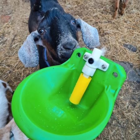 Поилка чашечная автоматическая с клапаном для овец, коз, баранов, козлят, 2 шт.