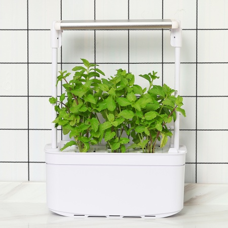 Гидропонная установка HobbyFarm Mini DQ6200-LB-6, домашний умный смарт сад, 6 ячеек, с фитолампой