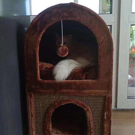 Когтеточка-домик 40х40х70 см, коричневый