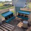 Гнездо для кур несушек HobbyFarm 2 секции с яйцесборником