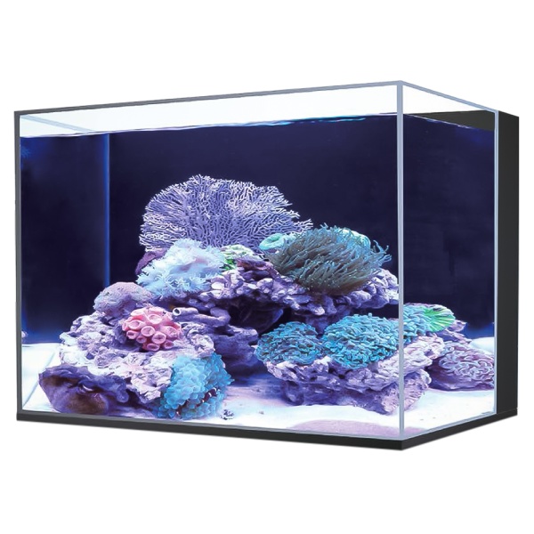 Аквариум с тумбой Boyu Marine HA-600A морской 150 л, с фильтром, скиммером, помпой, черный