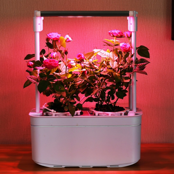 Гидропонная установка HobbyFarm Mini DQ6200-LB-2, домашний умный смарт сад, 2 ячейки, с фитолампой