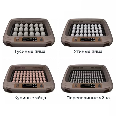 Инкубатор HHD 50 автоматический c универсальным поддоном для куриных, перепелиных, утиных, гусиных яиц