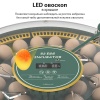 Инкубатор HHD 52H WONEGG автоматический 220В/12В от сети и аккумулятора, с овоскопом на 52 яйца​
