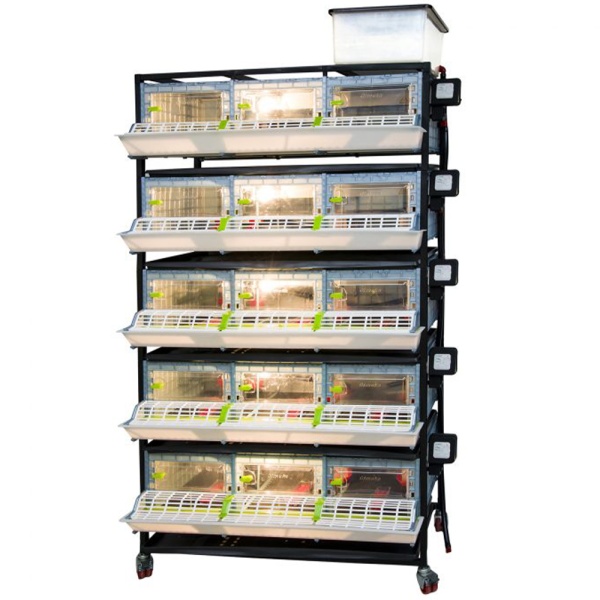 Брудер для цыплят CB25 3 секции, 5 ярусов, 98x60x196 см, пластиковый