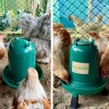 Поилка вакуумная ECO Recycled 3 л с ручкой на ножках