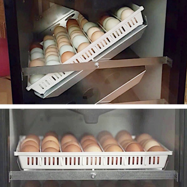 Инкубатор Brinsea Ova-Easy Advance EX ser II 580 автоматический для яиц с помпой