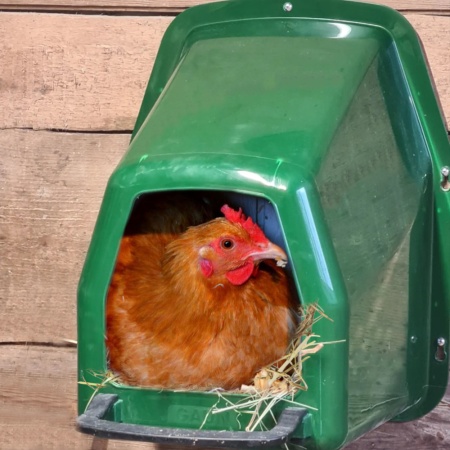 Гнездо для кур несушек пластик