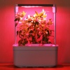 Гидропонная установка HobbyFarm Mini DQ6200-LA, домашний умный смарт сад, 3 ячейки, с фитолампой