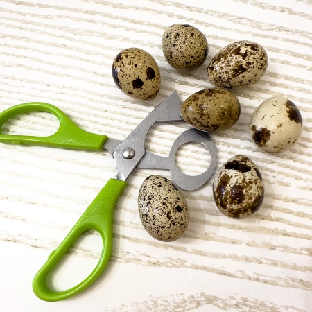 Ножницы для перепелиных яиц